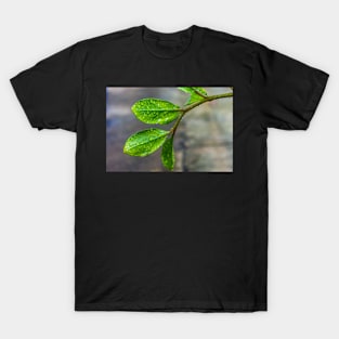 GREEN LEAVES T-Shirt